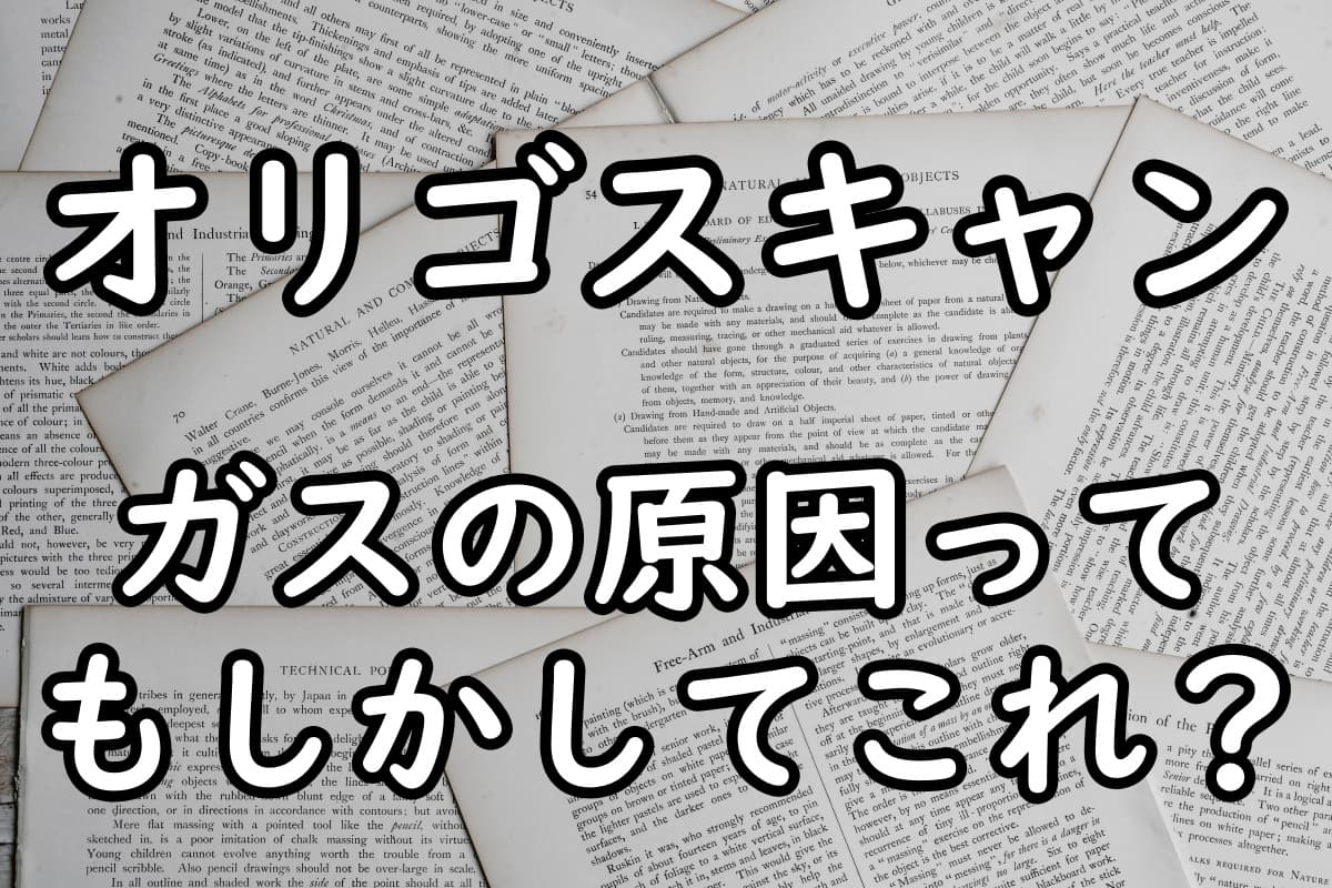 ガスの原因